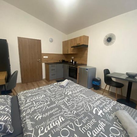 Cerna Ruze - Apartman 7 Plzen Bagian luar foto