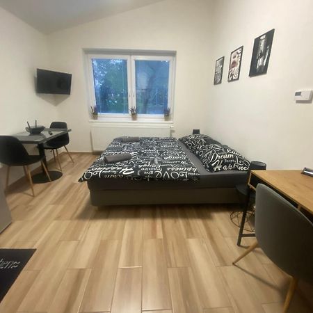 Cerna Ruze - Apartman 7 Plzen Bagian luar foto