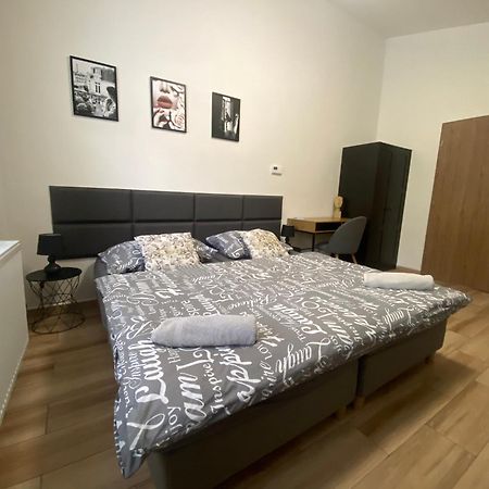Cerna Ruze - Apartman 7 Plzen Bagian luar foto