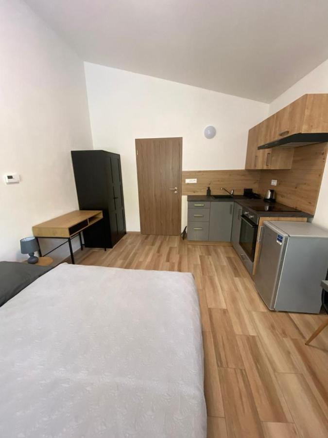 Cerna Ruze - Apartman 7 Plzen Bagian luar foto