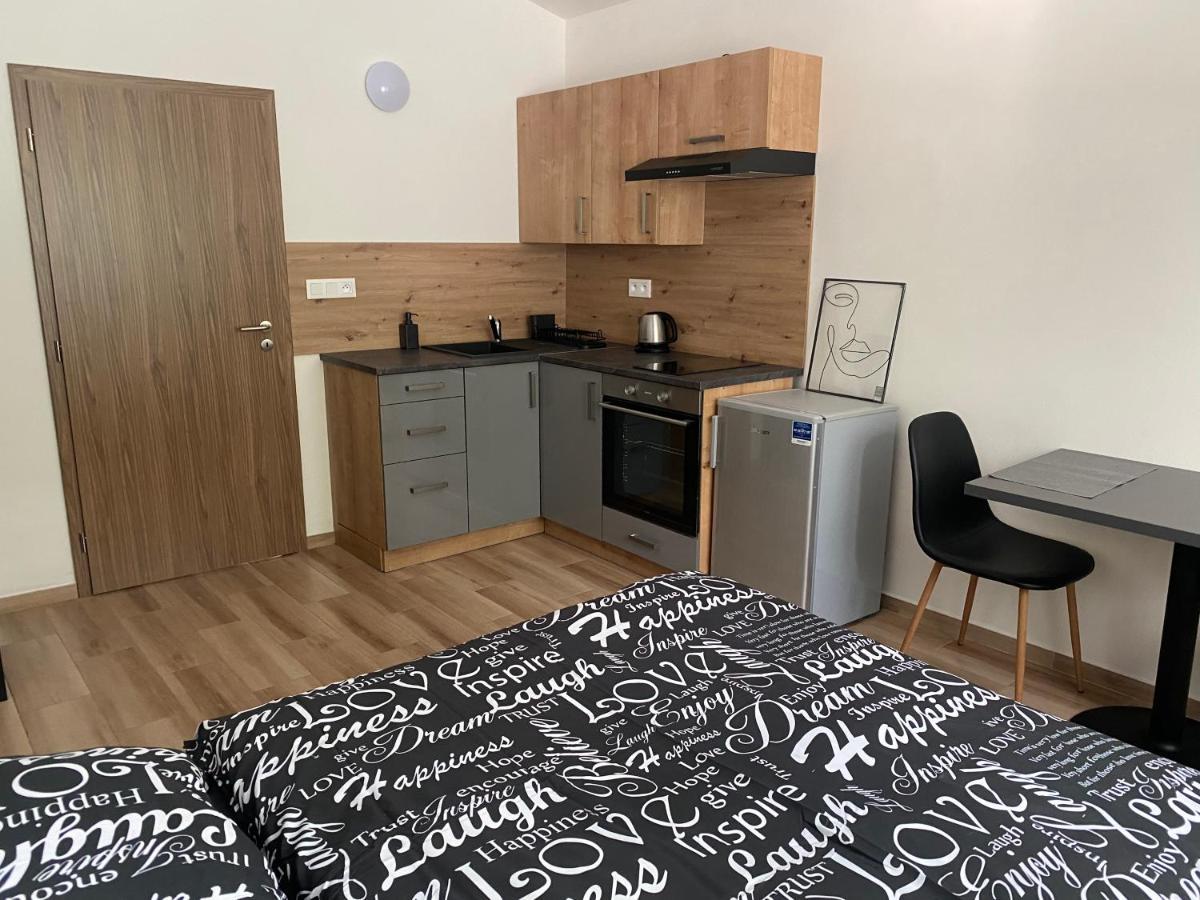 Cerna Ruze - Apartman 7 Plzen Bagian luar foto
