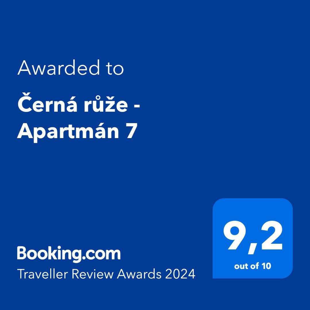 Cerna Ruze - Apartman 7 Plzen Bagian luar foto